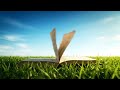 Une liberté inestimable : la liberté de lire au gré du vent de vos envies… https://ulyxeos.com ☺