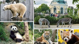The World's Oldest Zoo Schönbrunn Palace Zoo - Vienna, Austria