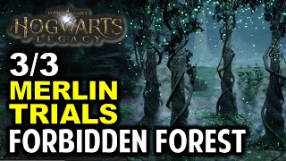 Forbidden Forest: All 3 Merlin Trial Location & Puzzle Solution | Hogwarts Legacy