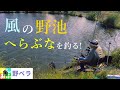 強風の野池で底のヘラブナを狙え！【ヘラブナ釣り】Japanese herabuna fishing spring 2022