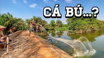 Is this the easiest way to catch fish in Vietnam? Lần đầu học quăng lưới  (Miền Tây Thu Nhỏ)