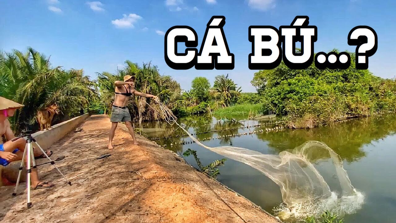 Is this the easiest way to catch fish in Vietnam? Lần đầu học quăng lưới  (Miền Tây Thu Nhỏ)