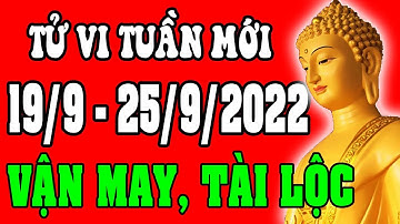 Tử vi 12 con giáp Tuần mới 19/9 - 25/9/2022 - Vận Mệnh, Tài Lộc, Công Việc, Tình Duyên, Sức Khỏe
