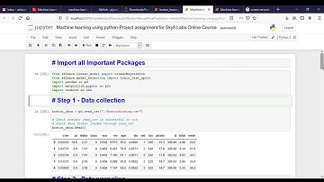 Machine Learning using Python - Project assignment for Skyfi Labs Online Course by SRINIVAS TALASILA