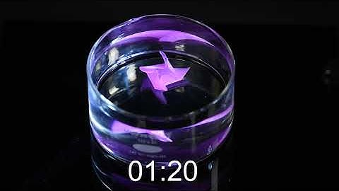 Shape-memory 3D-printed scaffolds