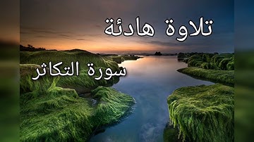 سورة التكاثر - - شيخ نورين