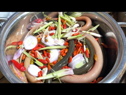 Video LƯƠN ĐỒNG UM 300 TRÁI ỚT HIỂM ĐỎ RỰC • Món Ăn Dân Dã... - youtube