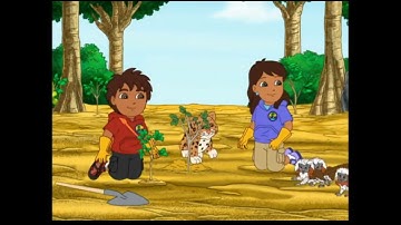 Go Diego Go Cotton Top Tamarins