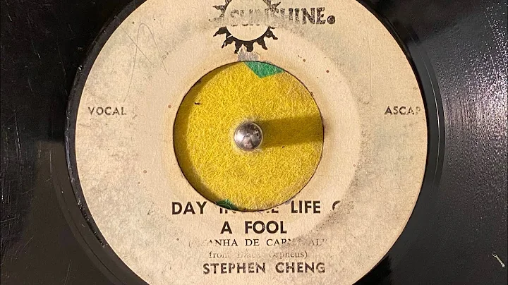 Stephen Cheng  Day in the life a fool