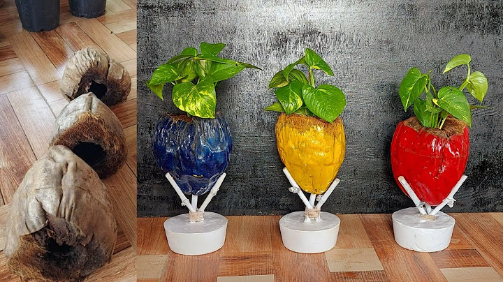 Transform a Coconut Shell into a Functional and Stylish Planter