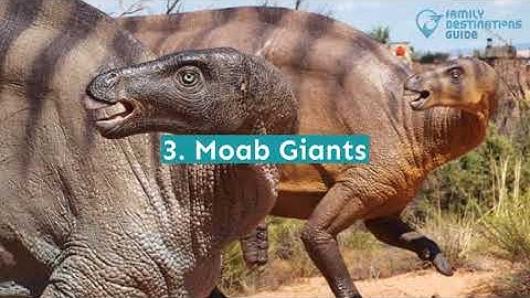 12 Fun Things to Do in Moab with Kids