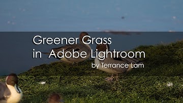 Greener Grass in Adobe Lightroom 5.7.1 - E0008