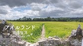海外生活 イギリスの田舎道散歩 リアルなのんびり日常 Youtube