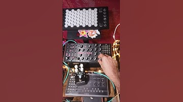 #moog #subharmonicon #noise #synth #filter #envelope  #idm #eurorack #ambient #trance #electronic