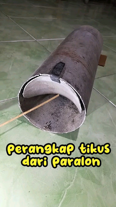 perangkap tikus dari paralon, perangkap tikus, jebakan tikus #jebakan tikus # perangkaptikus