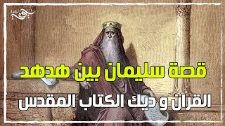 أصل القصة - الحلقة 2 - قصة سليمان بين هدهد القران وديك الكتاب المقدس