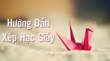 Hướng Dẫn Gấp Hạc Giấy Nhanh Và Đơn Giản | Origami Easy covacu