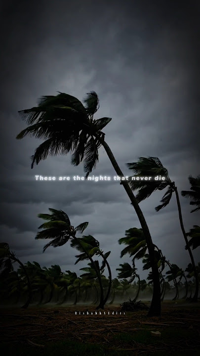 Download lagu The Nights -{Avicii🕊️} 'My father told me' || Aesthetic lyrics 🥀 || RishabhXEdits❤️#lyrics#thenights
