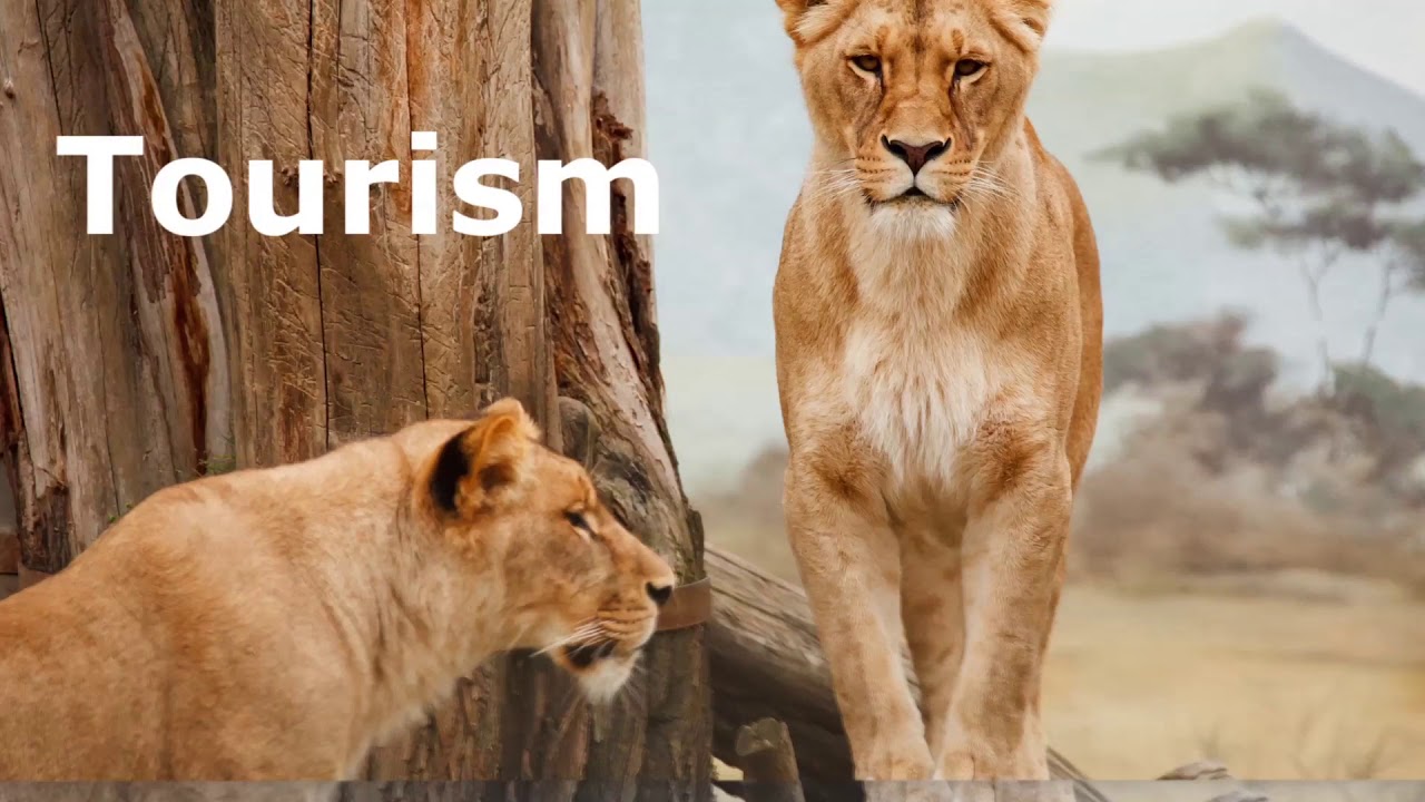 Climate Change - Kenya