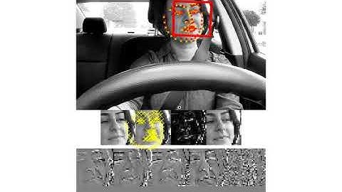 Face and Facial Landmarks Tracking
