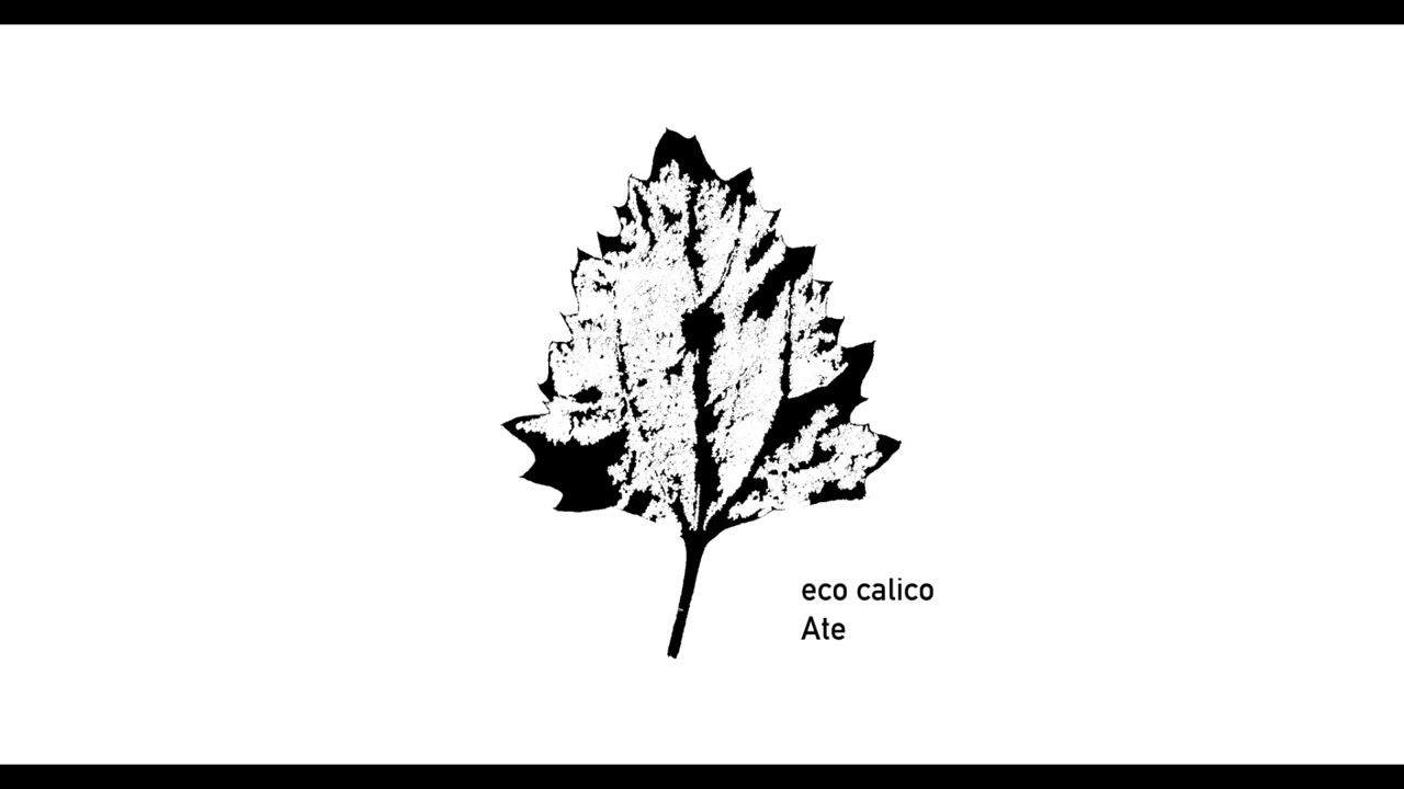 Eco Calico - Ate (2017 full album)