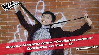 Antonio Guerrero cantó “Gavilán o paloma” -  Conciertos en Vivo - T2 - La Voz Ecuador