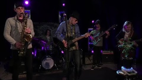 2021 Hash Bash music: Cosmic Knot, the entire set PLUS: cannabis plant makes music!