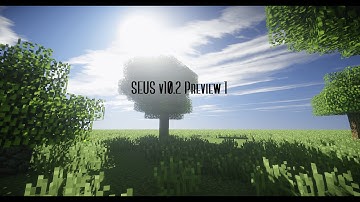 SEUS v10.2 Preview 1 FPS Comparison