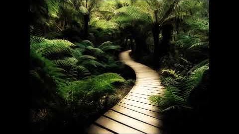 ووضع الكتاب فترى المجرمين ،،، تلاوة نادرة للشيخ محمد المحيسني