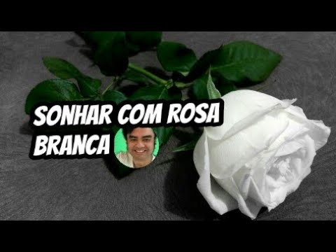 Vídeo: Por Que Rosas Brancas Sonham?