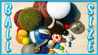 Ball Size Comparison For Kids