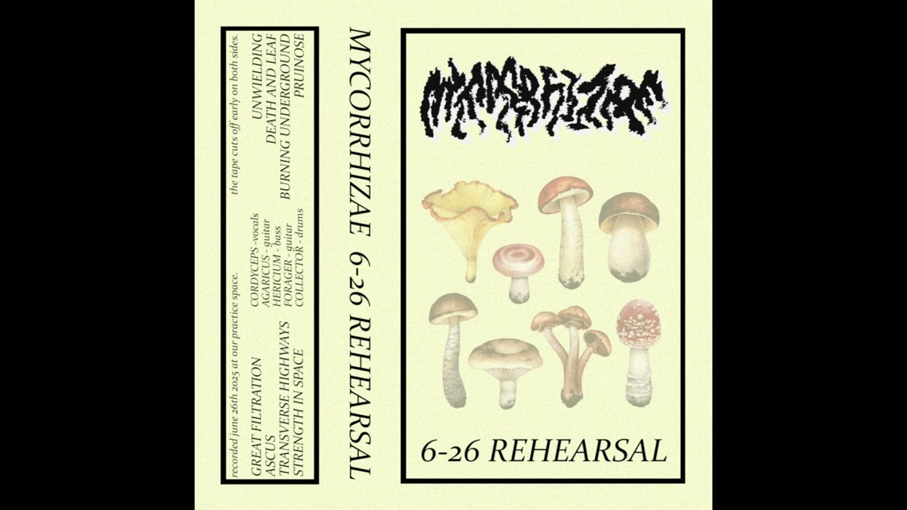 Mycorrhizae (US) — 6-26 Rehearsal — 2025 demo