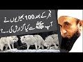 100 Wolves Request to Prophet Muhammad (PBUH) - Maulana Tariq Jameel |AA NEWS NETWORK | #AANEWSNETWORK
