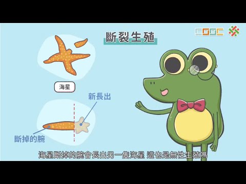 108新課綱 國中七下生物 無性生殖