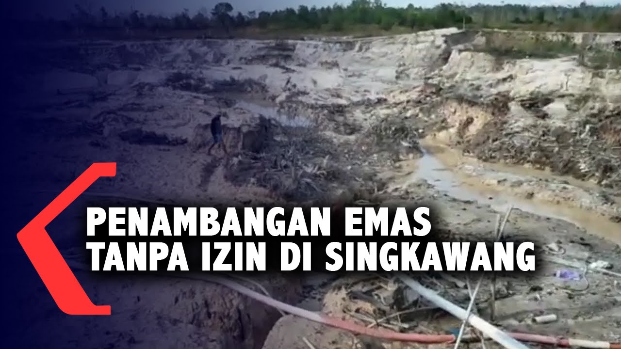 Polres Singkawang Amankan Pelaku Penambangan Emas tanpa Izin di Lahan 3 Hektar