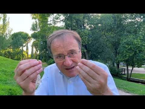Facing MONETARY Expansion, #Gold, #BTC and Commodities | José Luis Cava
