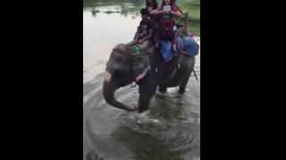 Elephant safari at Chitwan, Nepal