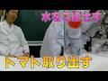 でんじろう先生の実験について語りたいVol.8/ 米村でんじろう[公式]