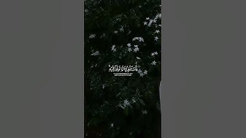 فَاسْتَغْفِرُوهُ ثُمَّ تُوبُوا إِلَيْهِ ۚ إِنَّ رَبِّي قَرِيبٌ مُّجِيبٌ|القارئ أحمد النفيس.