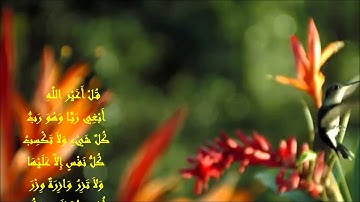 عشية رائعة للقارئ معاذ زغبي من أواخر سورة الأنعام