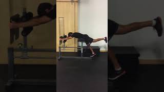 Isometric SL Reverse Hyper