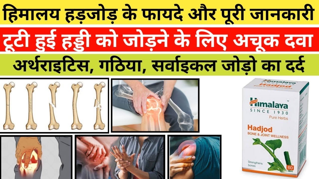 Himalaya Hadjod Tablet Benefits uses in Hindi | हिमालय हड़जोड के फायदे