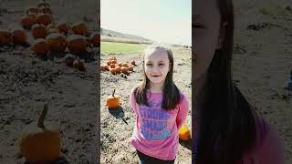 Beautiful day at the pumpkin patch.