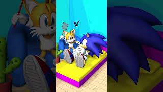 Tails Trying To Catch A Fly Gone Wrong