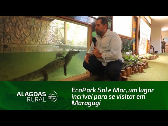 EcoPark Sol e Mar, um lugar incrível para se visitar em Maragogi