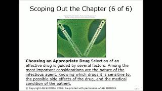 Microbiology Chapter 12 Antimicrobial Therapy By  Dr  Saudi