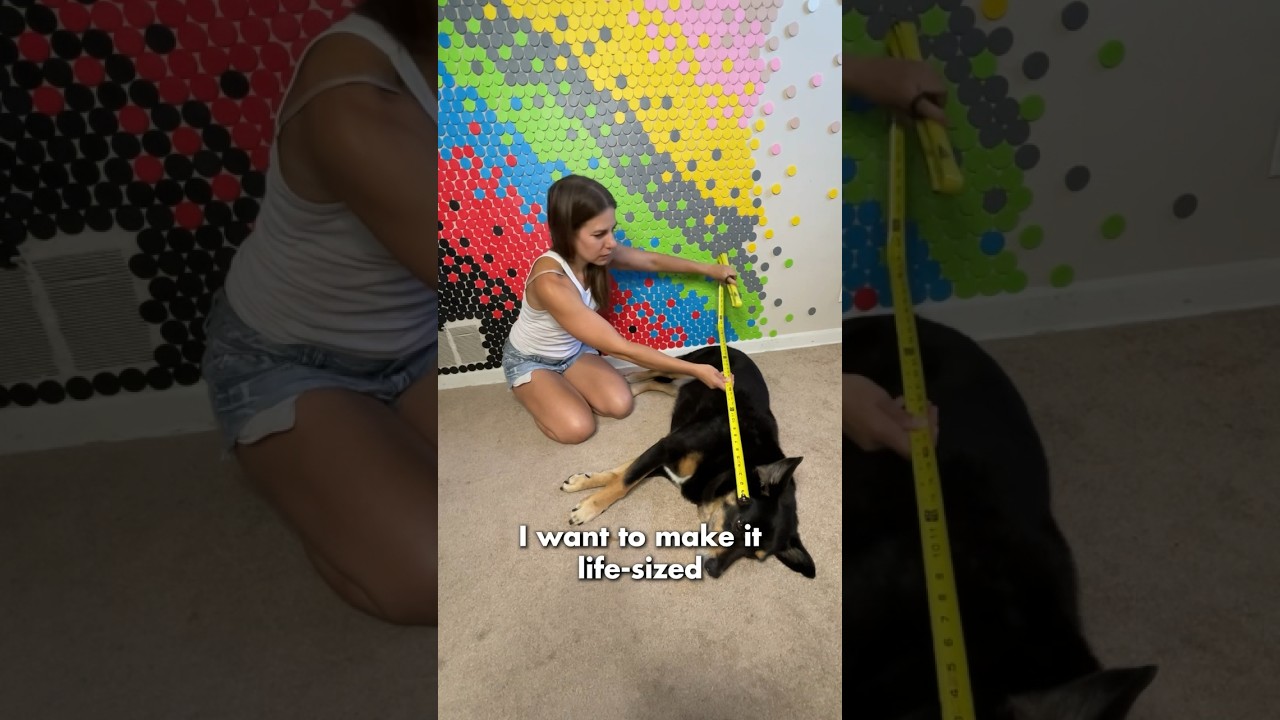 Learning to Make a Dog Rug