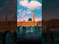 يامنى الروح الشيخ احمد الوائلي 