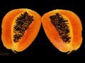 Problemas Y Perjuicios De La Semilla De Papaya - Para Eliminar Los Parasitos Semilla De Papaya