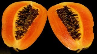 Problemas Y Perjuicios De La Semilla De Papaya - Para Eliminar Los Parasitos Semilla De Papaya